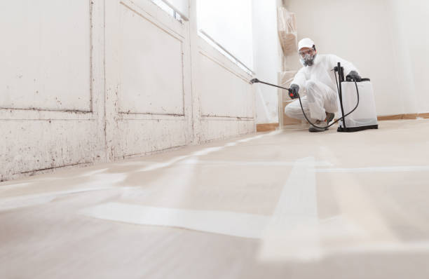 24/7 Emergency Attic Mold Removal experts in Lawrenceville, IL
