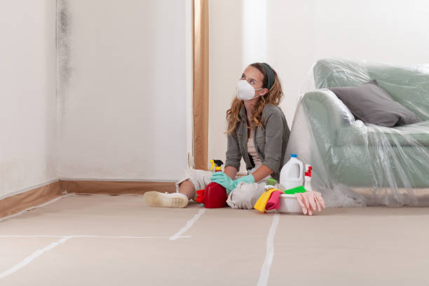 Reliable Attic Mold Removal contractor in Lawrenceville, IL by WQB Mold Removal